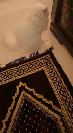بچم خیلی پاکه