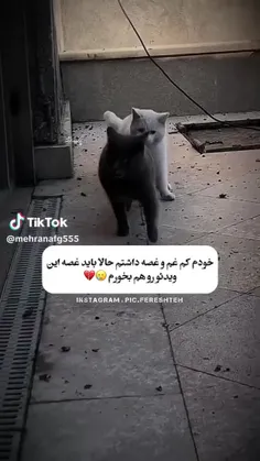 بیاید دعوا کنیم😀🤣