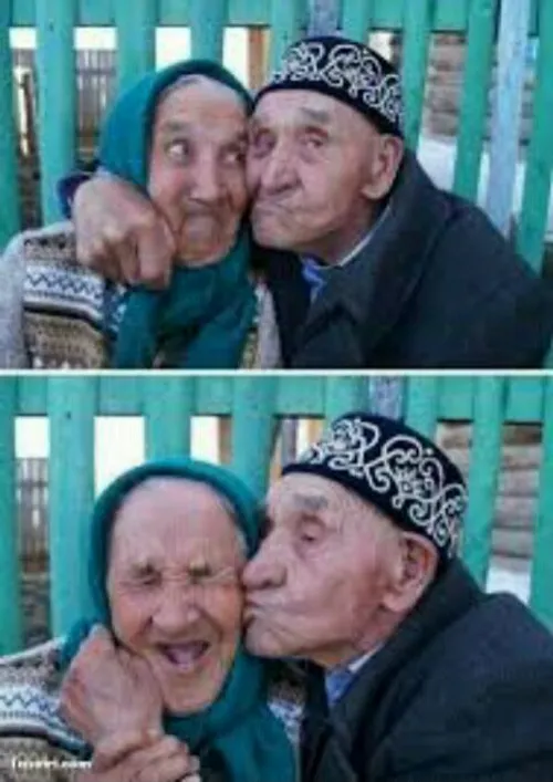 عشق پیری گربجنبد...؟!