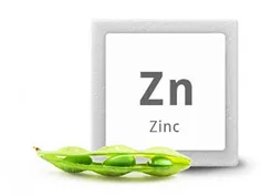 مهم ترین منبع تامین زینک به جز مواد غذایی طبیعی در مکمل‌ه