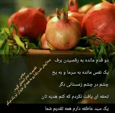 یلدا....شب گرم مهربانان گرامی باد