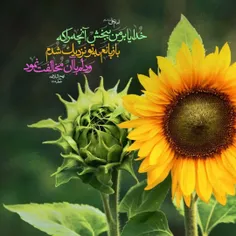 امیرالمؤمنین #امام_علی علیه السلام: 