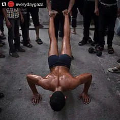 #followfriday repost from @everydaygaza: Bodybuilding sho