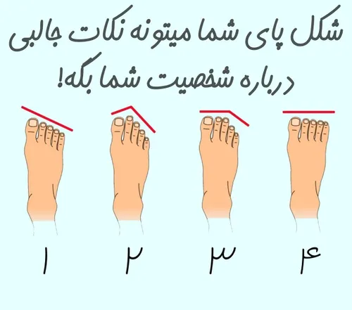 1-مدل مصری: خلاق، بااستعداد و بی رحم