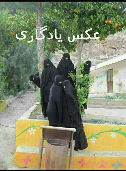 گفتم غم تو دارم