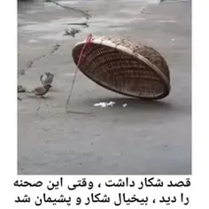 با حیوانات مهربان باشیم