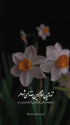 سلام حضرت مهدی(عج)،