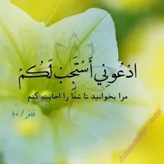 sayeh69 74852624