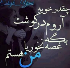 گوناگون sahebeh1377 16948757