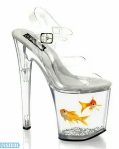 اینم کفش جدید مدل آکواریومی با ماهی زنده #