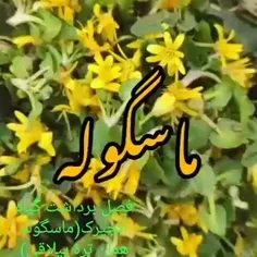 گیلانه... 