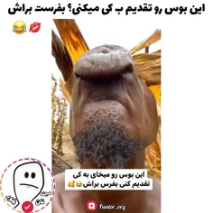 اینو برا رفیقام فرستادم فوش کشیدن ب سر تا پام🤣🤣