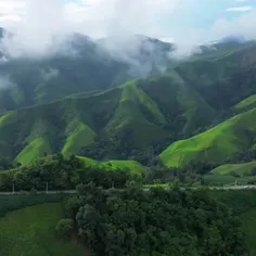 ❤💚