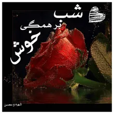 شب بخیر عشقولیا