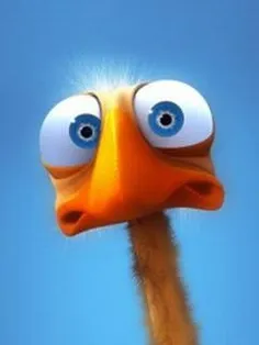 کسی صدام کرد??