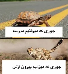 دقیقا همین بود 😂