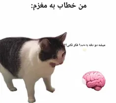 عهههه دو دیقه فک نکنن😂🫂