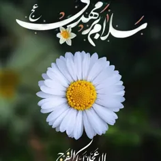 سلام برمهدی عج