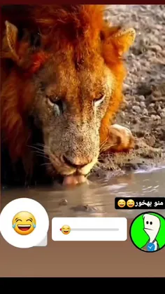 آقا شیره منو بخور🥲😂💔