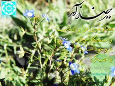 رمضان آمد