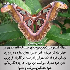 خیلی جالبه!