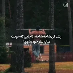 موفق باشی سید . امیدوارم سرافراز برگردی @iran_edit2