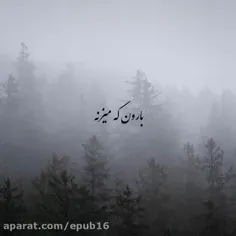 کاش فقط بودی...