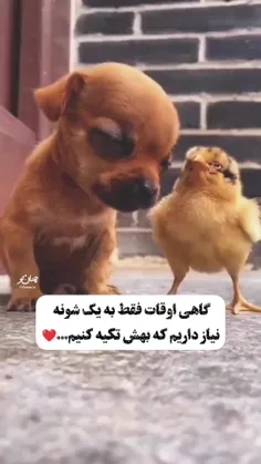 مهربانی تزئین لحظه هاست