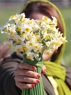 آدمیان به لبخندی که بر لب ها مینشانند ،