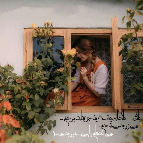کاش ،گلدان پشت پنجره ات بودم ...