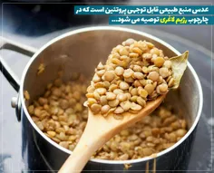 عدس، منبع پروتئین و آنتی اکسیدان ها 