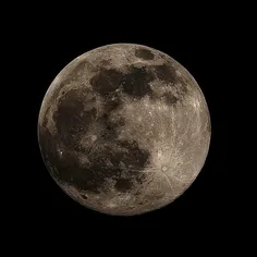 تم جدید🌕