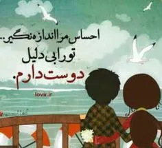 احساس من را اندازه نگیر