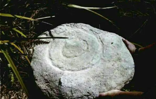حدود 50 سال پیش ، ماسه سنگی بزرگ در ساحل استرالیا کشف شد.