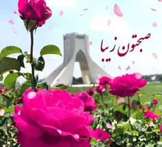 🌷بامدادان ڪه تفاوت نڪند لیل و نهار