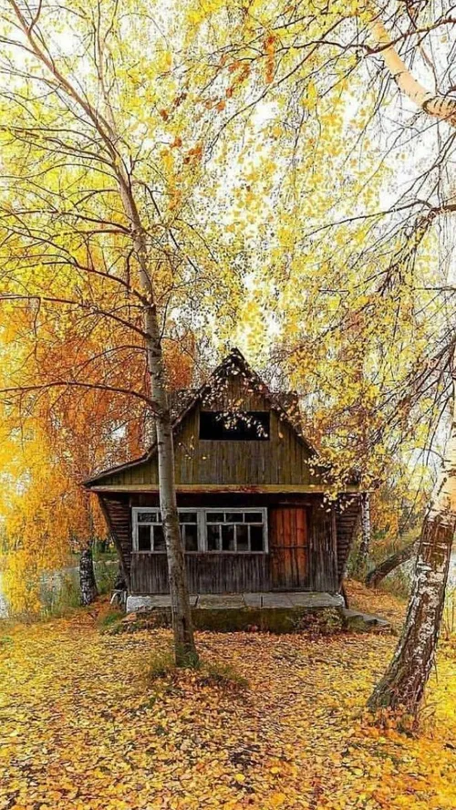 تصویری از کلبه ای دنج در قابی زیبا از پاییز در کشور اوکرا
