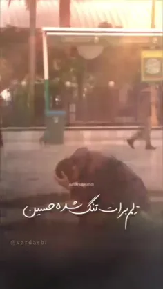 دلم برات تنگ شده حسین