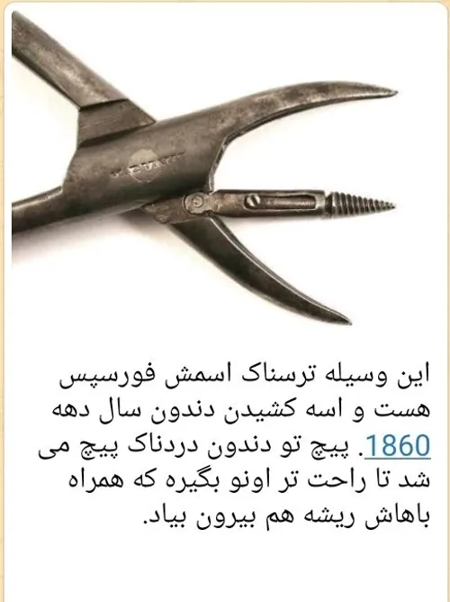 طنز و کاریکاتور vidaa 44257903 - عکس ویسگون