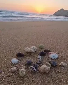 🌊💙🌅آرامش رهایی از طوفان نیست