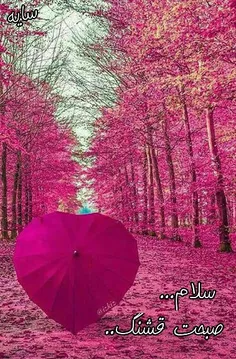 به خـداوند اعتمـاد کن