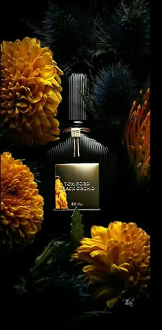 Black Orchid Tom Ford