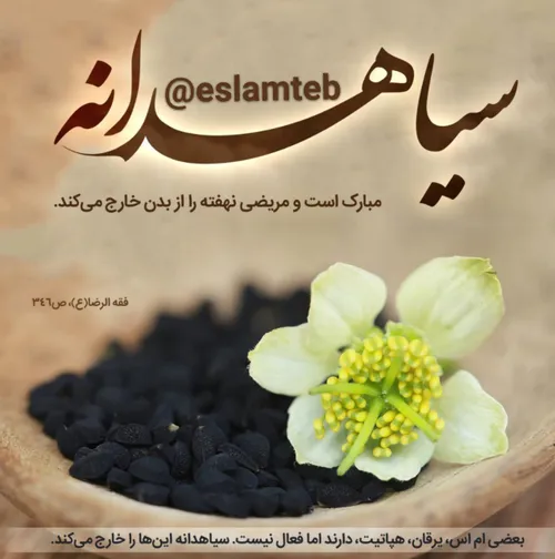 سیاهدانه مبارک است و مریضی نهفته را از بدن خارج می کند.