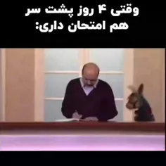 لطفا دنبال کنید