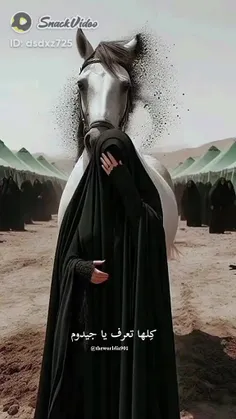 یا.ابو.فاضل