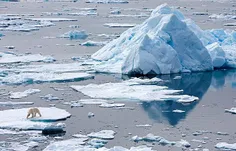 محققان دریافتند که پنجاه میلیون سال پیش، قطب شمال دارای آ