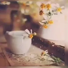 🍃خدای مهربانم عاشقتم🍃💚🍃