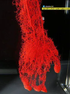 تصویری شبیه سازی شده از رگ های دست انسان