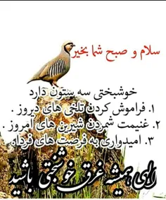 سلام روز بخیر 🌼