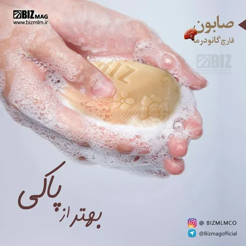 سلامت و تندرستی ganoderma_salamati 28058666 - عکس ویسگون