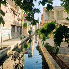 از کوچه های قشنگ مطهری 🌳🌊